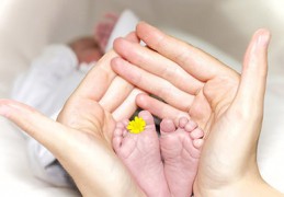 泰国试管婴儿怎么选医院不踩坑？这十家正规机构：2026排名刚公布