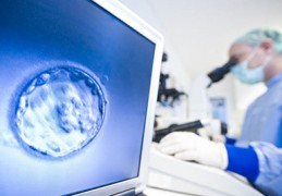试管婴儿费用与成功率是多少？全面对比解读