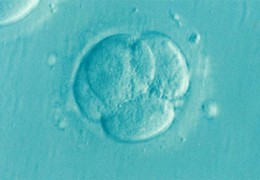 昆明2026试管婴儿助孕机构榜单出炉，正规医院集锦梳理